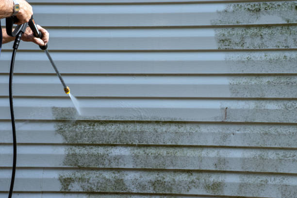 Best Demolition Debris Removal  in Fort Thomas, KY